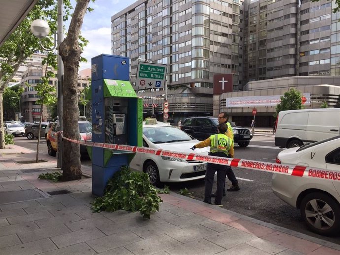 Sucesos.- Herido un taxista al caerle una gran rama de un árbol en la calle Prindes