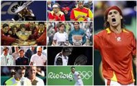 15 momentos para recordar de David Ferrer
