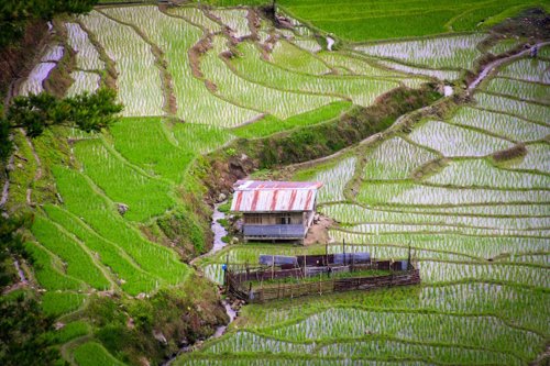 Solo un tercio de los grandes ríos del mundo discurren sin presas
