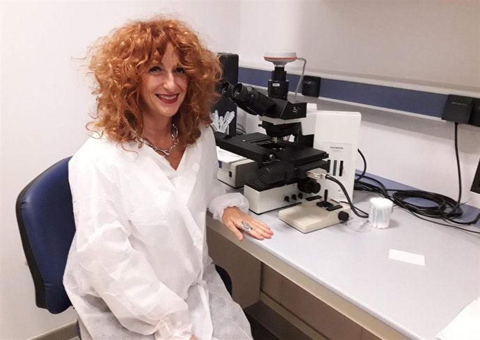 Almería.-Investigadores demuestran que vivir en ambientes saludables previene atracones de comidas azucaradas y alcohol