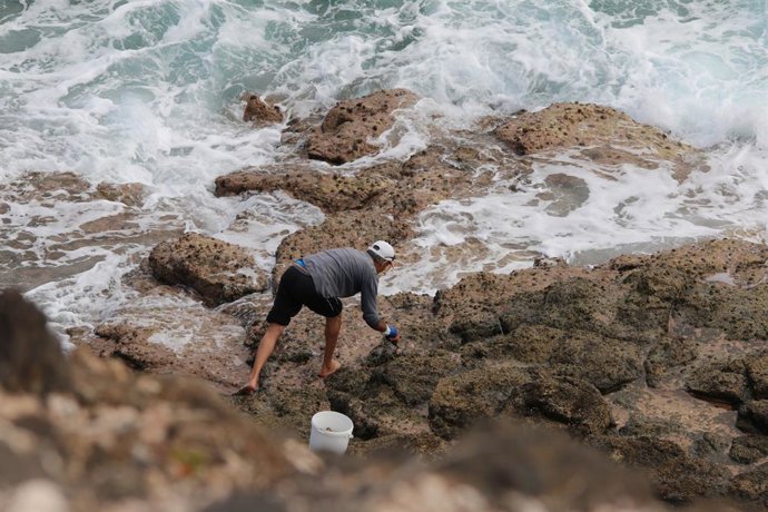 Sucesos.- Incautados 7,8 kilogramos de lapas a un pescador recreativo en la zona