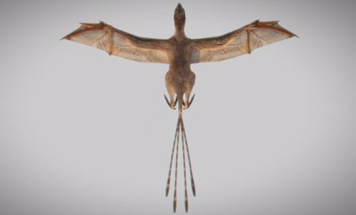 Nueva especie de dinosaurio con alas de murciélago