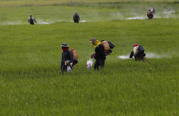 Granjeros utilizan pesticidas