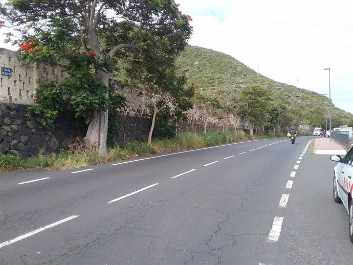 Rehabilitan las zonas ajardinadas de la carretera general Tacoronte-Tejina (Tenerife)