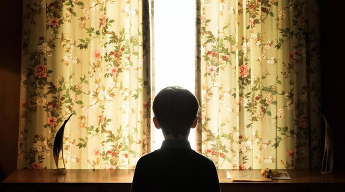 --L LARGOMETRAJE DE TERROR Y SUSPENSE "BOSQUE MALDITO (THE HOLE IN THE GROUND)", OPERA PRIMA