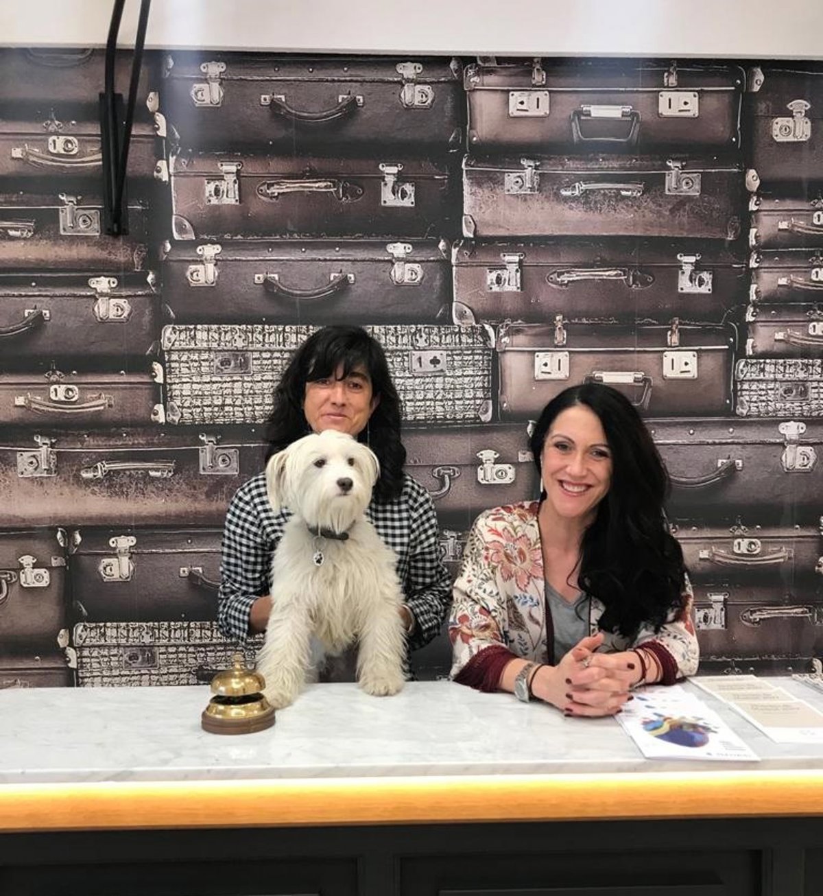 Los hoteles 'petfriendly' de Madrid se incluyen en 'SrPerro'