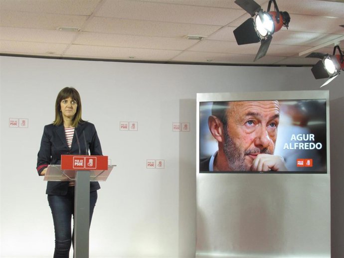 Mendia (PSE-EE) destaca que Rubalcaba se "arriesgó y sufrió lo que no está escrito por traer la libertad a este país"