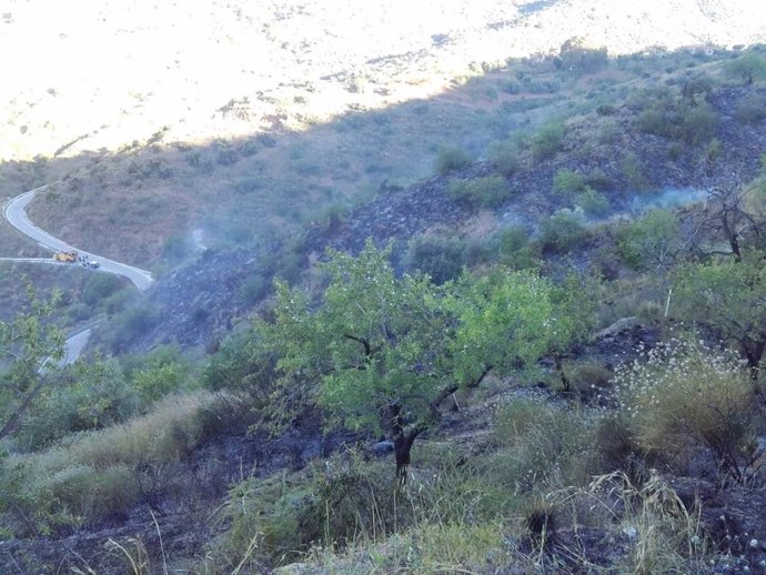 Málaga.- Sucesos.- Un incendio agrícola quema 1,8 hectáreas de pastizal en un terrno abandonado de Málaga