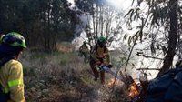 Estabilizan un incendio forestal declarado este sábado en Almonte (Huelva) que ha afectado a tres hectáreas