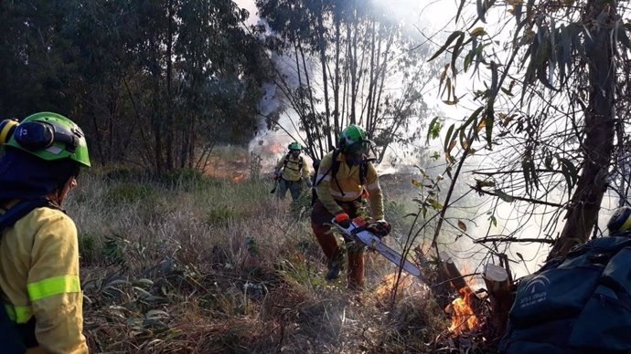 Huelva.- Sucesos.- Estabilizan un incendio forestal declarado este sábado en Almonte que ha afectado a tres hectáreas