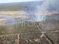 Extinguido el incendio forestal de Almonte (Huelva) que ha afectado a tres hectáreas