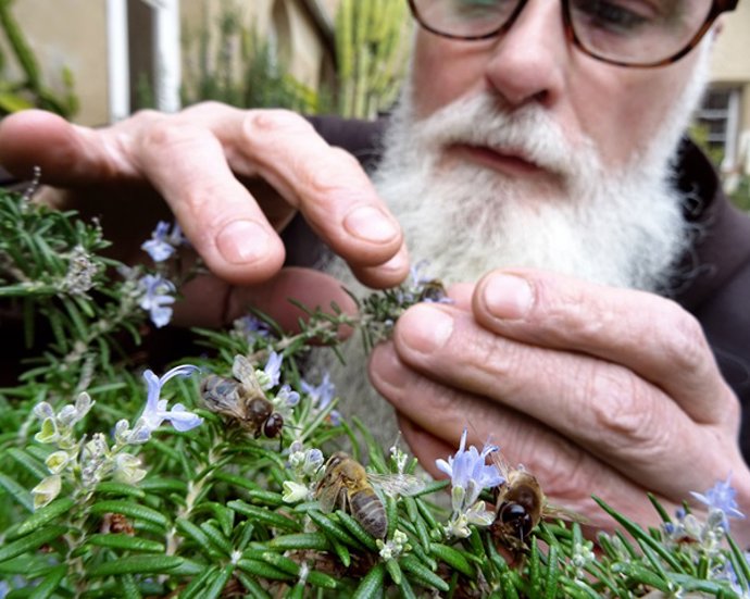 Valentí Serra publica 'El llibre de la mel', un estudio sobre la apicultura en Catalunya