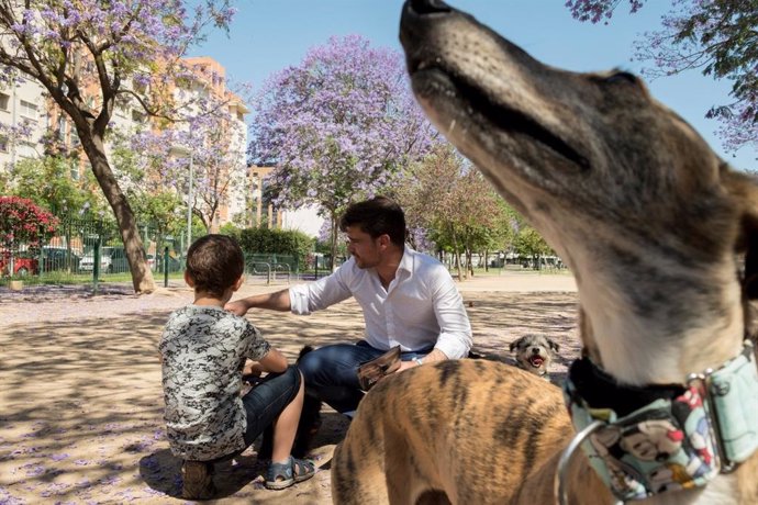 Sevilla.- 26M.- Beltrán Pérez apuesta por una ciudad "volcada con las mascotas"