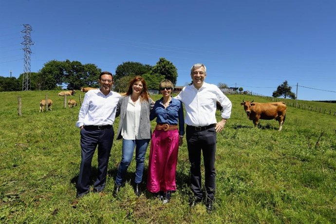 Rural.- 26M.- Garicano (Cs) quiere una PAC al servicio de explotaciones pequeñas