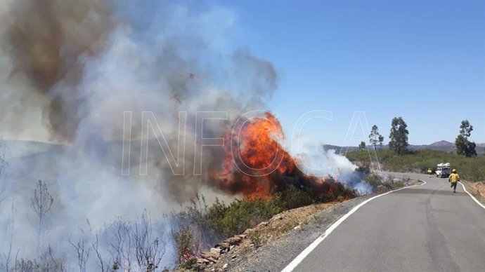 Huelva.- Sucesos.- Declarado un incendio forestal en el paraje 'El Pantano' de Berrocal