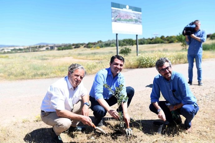 Córdoba.- 26M.- Bellido (PP) plantea un cinturón verde con parques y "no más jaramagos" como actualmente