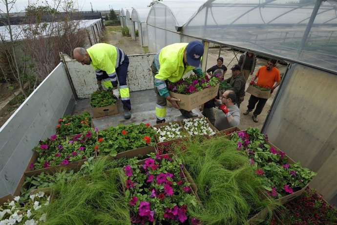 Más de 70 ayuntamientos recogen las flores que lucirán en sus municipios en una nueva campaña de la flor de la DPH