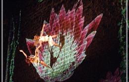 El XV Circuito de Danza presenta   en la Umore Azoka de Leioa la coreografía 'Sacred'