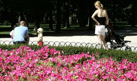 Cooperación y Desarrollo