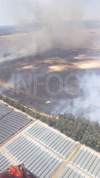 Infoca sigue trabajando en la extinción completa del incendio de Almonte, cerca de Doñana