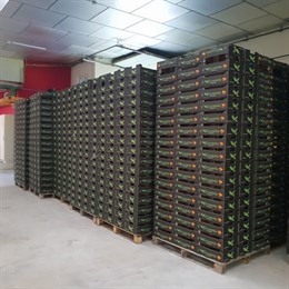 Asaja, COAG y UPA piden "unidad de acción" para promocionar el consumo de fruta de hueso