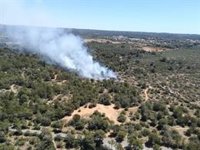 Confirmado un incendio forestal en Son Verí (Mallorca)