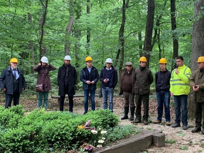 Xunta estrategia forestal