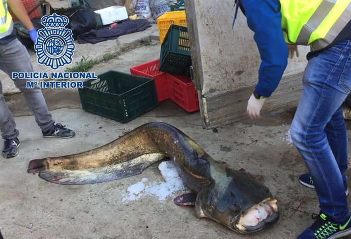 Vídeo de la noticia