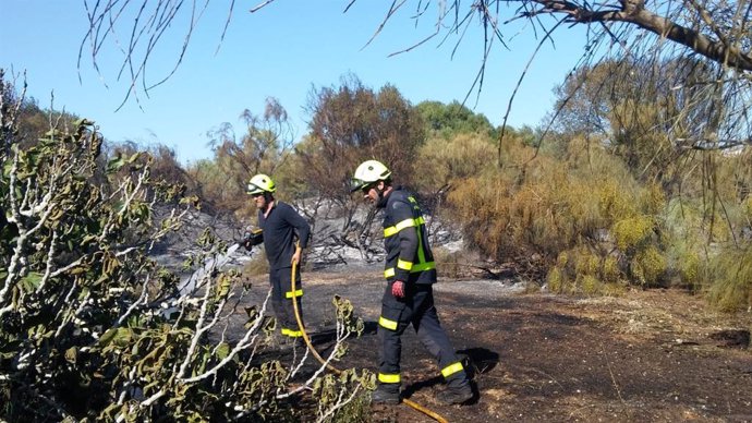 Cádiz.- Sucesos.- Bomberos actúan en un incendio de vegetación en El Puerto propagado por el viento a jardines privados
