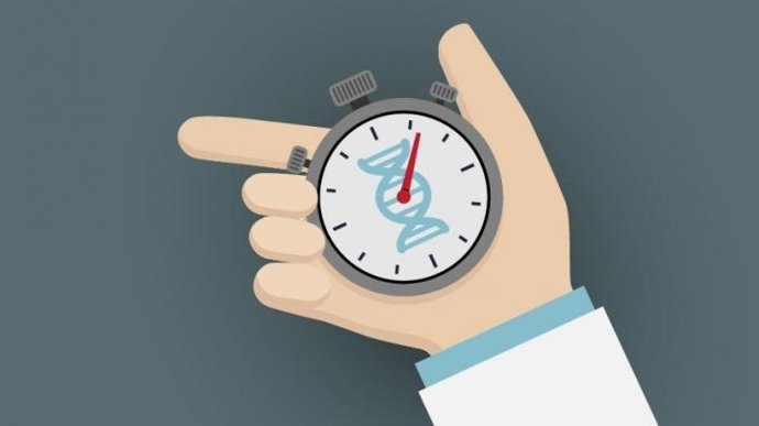 El ADN de los MIR envejece seis veces más rápido de lo normal en el primer año de residencia