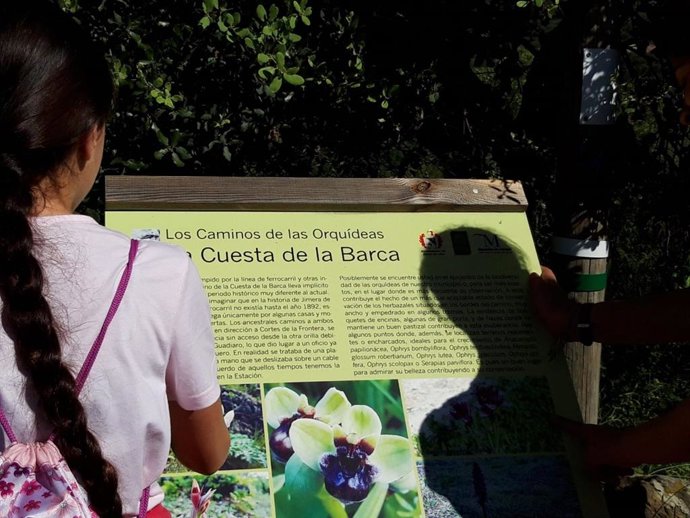 Málaga.- La Diputación edita una guía informativa sobre los 45 tipos de orquídeas que pueden verse en la provincia