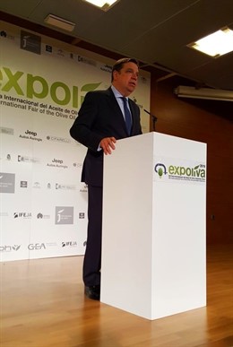 Luis Planas defiende que la autorregulación del mercado oleícola debe tener "encaje" en los mecanismos comunitarios