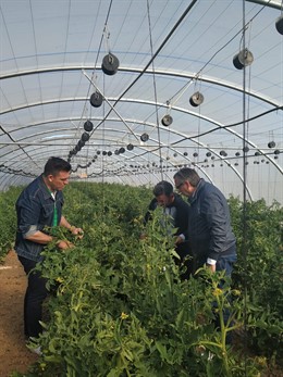 26M.- El PP Propone En Calahorra Medidas Como Parcelas Agrícolas Para Jóvenes Agricultores