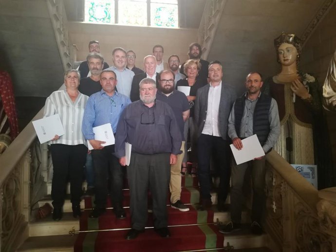 El Consell subvenciona con casi 55.000 euros el control de las colonias felinas de 47 ayuntamientos de Mallorca