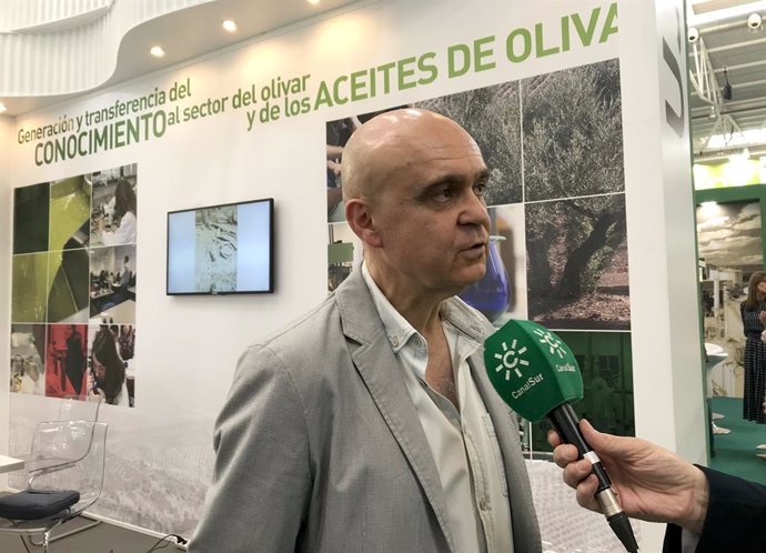 Jaén.- Un estudio de la UJA revela un compuesto del aceite de oliva virgen que ejerce como cicatrizante de heridas