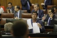 El Parlamento aprueba por unanimidad la ley que crea el Colegio de Terapeutas Ocupacionales