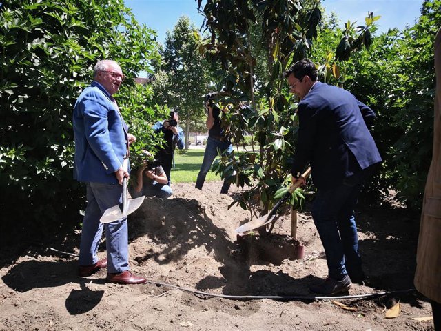 Granada.- Turismo.- Granada distinguirá a los establecimientos hosteleros comprometidos con el medio ambiente