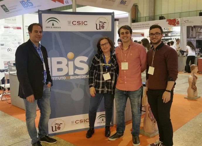 Sevilla.- El Virgen del Rocío y el IBIS acuden a la Feria de la Ciencia con modelos para simular cirugías y tejidos