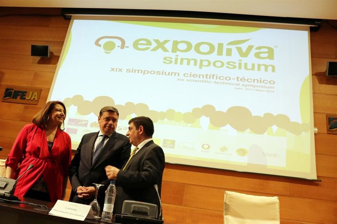 Crespo aboga por la unión de las administraciones en torno a un sector tan "estratégico" como el olivar