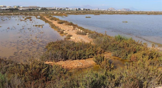 Alicante.- Amigos de los Humedales rechaza la segunda pista del aeropuerto por el "grave impacto ambiental"