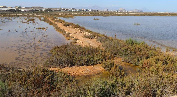 Alicante.- Amigos de los Humedales rechaza la segunda pista del aeropuerto por el "grave impacto ambiental"