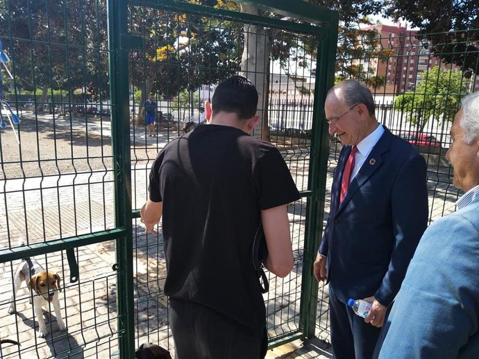Málaga.- 26M.- De la Torre plantea que los perros de hasta diez kilos viajen en autobuses públicos en determinadas horas