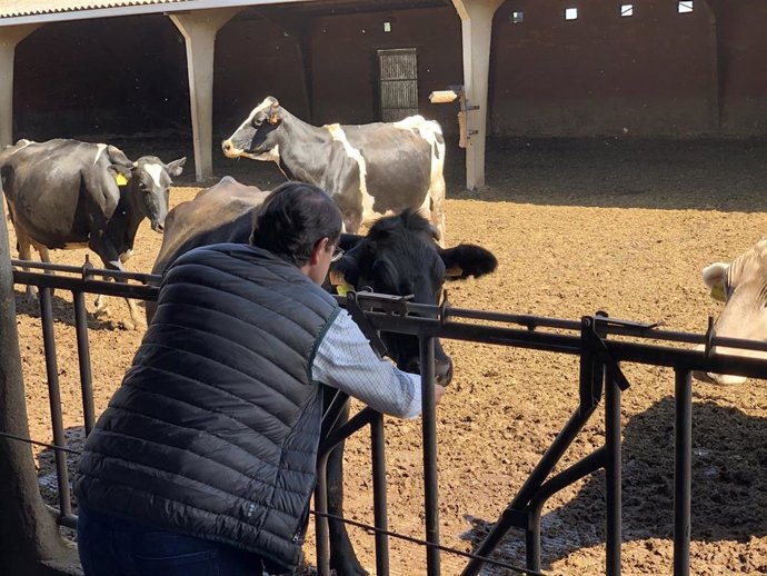 Mañueco vería "lógico" recurrir el fallo del TSJ y apuesta por compatibilizar rentabilidad y respeto al medio ambiente