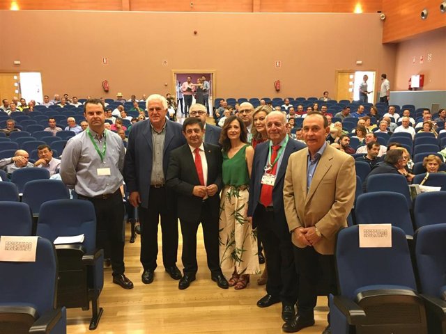 Jaén.- La Junta aboga por introducir cambios para mejorar la cadena de valor y lograr precios más justos en el aceite