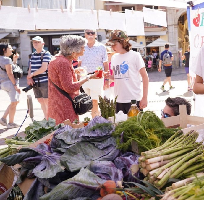 Malaga.- Alumnos de 19 colegios de Málaga participan en la segunda edición del encuentro de huertos escolares