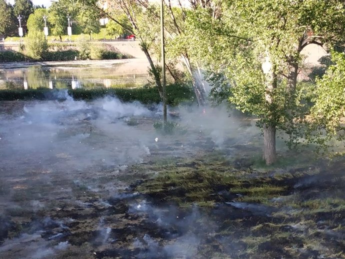 Ruiz Tutor llama "a la prudencia" para que evitar más incendios de pelusas en los parques de Logroño