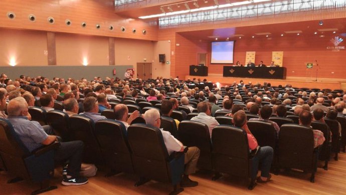 Jaén.- Medio Millar de olivareros analizan estrategias frente a la crisis de precios del aceite en una jornada de COAG