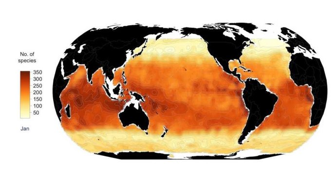 El primer mapa global de distribución de fitoplancton desafía teorías