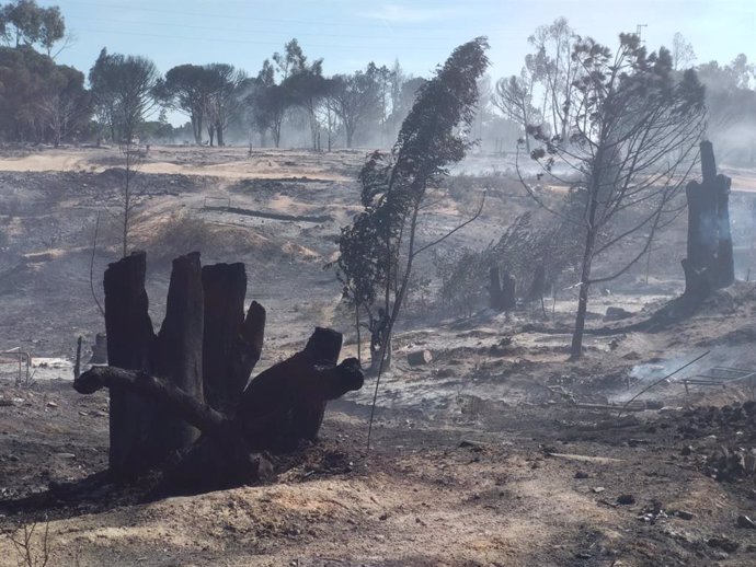 Huelva.- Cáritas acompaña a los afectados por el incendio de este jueves en el asentamiento de Palos de la Frontera