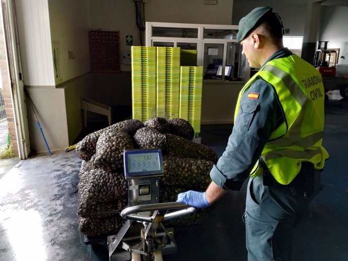 Interceptada una tonelada de almejas clandestinas con un valor de 11.000 euros en O Grove (Pontevedra)